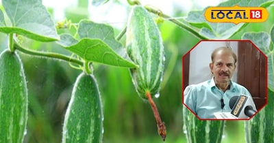 परवल की खेती के बारे में जानकारी देते एक्सपर्ट...