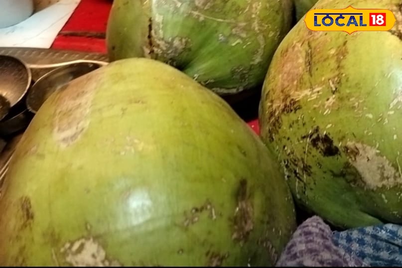 Coconut malai benefits, Coconut water benefits, Benefits of coconut malai, Coconut malai health benefits, Coconut water benefits in summer, local18 khargone letest news, Madhya Pradesh hindi news Coconut malai benefits, Coconut water benefits, Benefits of coconut malai, Coconut malai health benefits, Coconut water benefits in summer, local18 khargone letest news, Madhya Pradesh hindi news