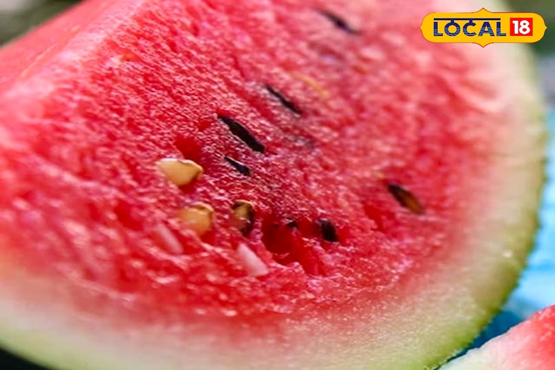 आगे कहा कि इस तरबूजा में कम कैलोरी और अधिक पानी की मात्रा के कारण तरबूजा वजन कम करने में भी मददगार है. इसे खाने से पेट भरा हुआ महसूस होता है और बार-बार भूख नहीं लगती. वजन कम करने में कारीगर साबित होता है. आगे कहा कि इस तरबूजा में कम कैलोरी और अधिक पानी की मात्रा के कारण तरबूजा वजन कम करने में भी मददगार है. इसे खाने से पेट भरा हुआ महसूस होता है और बार-बार भूख नहीं लगती. वजन कम करने में कारीगर साबित होता है.