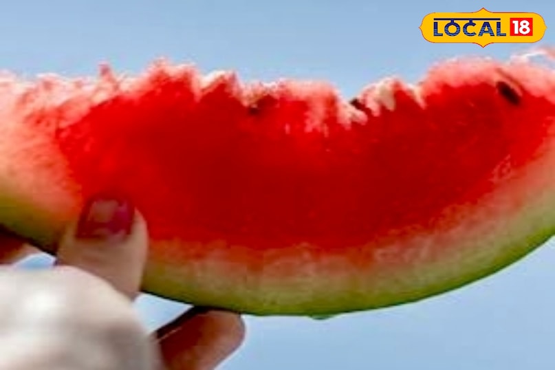 आगे कहा कि गर्मी के मौसम में पाचन संबंधी समस्याएं आम हो जाती हैं. तरबूजा हल्का और आसानी से पचने वाला फल है, जो पाचन तंत्र को दुरुस्त रखता है और कब्ज जैसी समस्याओं से राहत देता है. इससे पाचन क्रिया भी ठीक रहती है. आगे कहा कि गर्मी के मौसम में पाचन संबंधी समस्याएं आम हो जाती हैं. तरबूजा हल्का और आसानी से पचने वाला फल है, जो पाचन तंत्र को दुरुस्त रखता है और कब्ज जैसी समस्याओं से राहत देता है. इससे पाचन क्रिया भी ठीक रहती है.