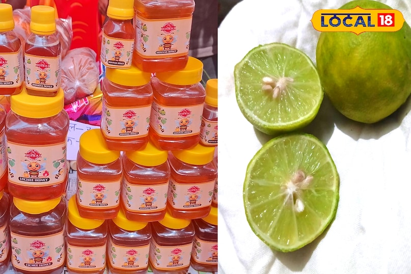 ফটো গ্যালারি