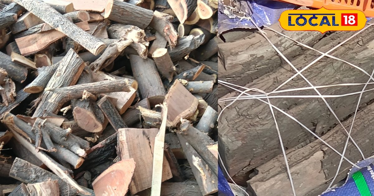 पुराने दिन फिर से लौटे.. सिलेंडर के महंगे दामों ने तोड़ी आम आदमी की कमर, तो वहीं अब फरीदाबाद में 40% बढ़ी कोयला-लकड़ी की बिक्री