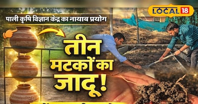 पाली कृषि विज्ञान केंद्र