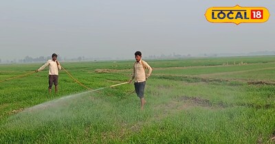 गर्मियों में किसान करें जायद फसलों की खेती, कम समय में मिल सकता है अच्छा मुनाफा