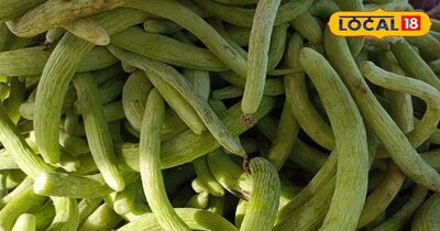 ककड़ी की खेती इस तरीके से करे