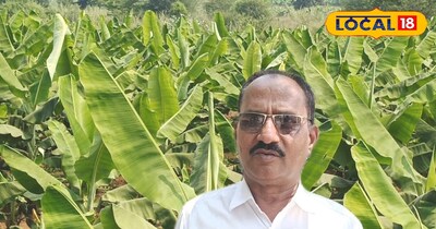 सरकारी नौकरी छोड़ सुनील ने खेती से कमाया नाम, 11 एकड़ में उगा रहे 'सोना'.