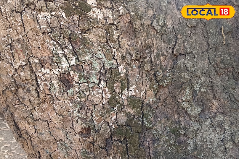 Religious significance 