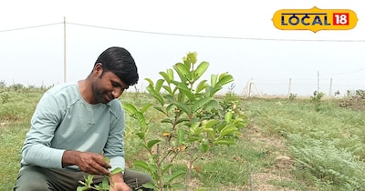 किसानों के लिए कमाल की खेती पद्धति: मुनाफा डबल, एक साथ उगा रहे कई फसलें.