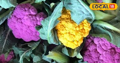 प्रतीकात्मक तस्वीर 