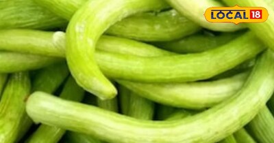 मलचिंग विधि से ककड़ी की खेती कर कमा रहे मुनाफा