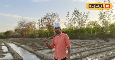 मलेरना में किसान ने लगाई नई मिर्च वैरायटी.