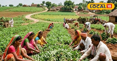 Ai से तैयार की गई तस्वीर 