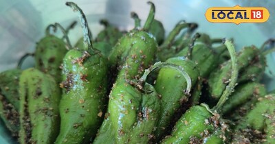 लाल मिर्च का अचार घर पर आसानी से बनाया जा सकता है.