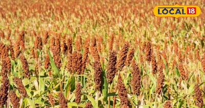 पुरुष किसान मोटे अनाज की खेती में रुचि ले रहे हैं.