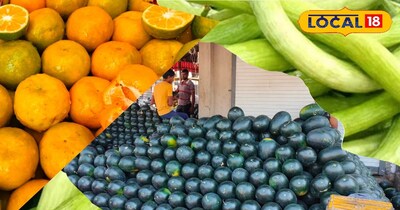 गर्मियों में इन फलों का सेवन जरूरी है.