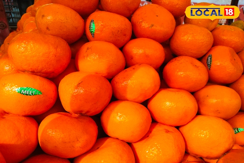 गर्मी में शरीर में पानी की कमी कैसे दूर करें, body hydration ke liye best fruits kaun se hain, health tips, local18, khargone letest news, Madhya Pradesh hindi news 