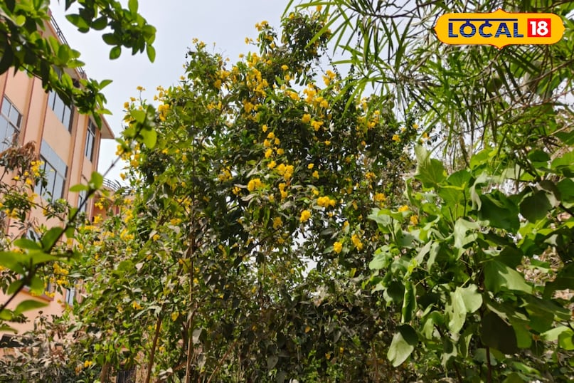 सावधानी भी जरूरी 