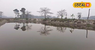 दोस्त के एक आइडिया ने बदली युवा किसान की किस्मत मछली पालन से बदली किस्मत, एक सीज