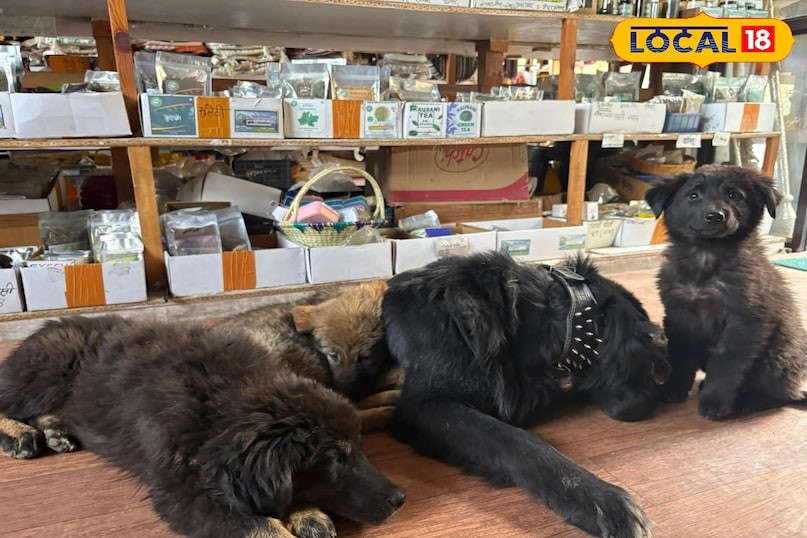 Take immediate precautions if you have allergies or diarrhea