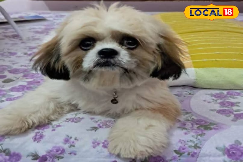 Buttermilk and yogurt act as natural coolants. 