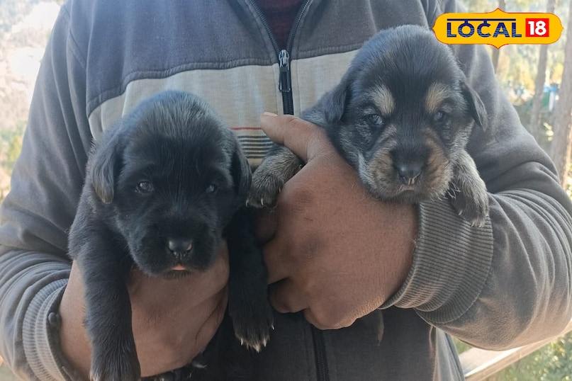 Buttermilk helps in maintaining hydration 