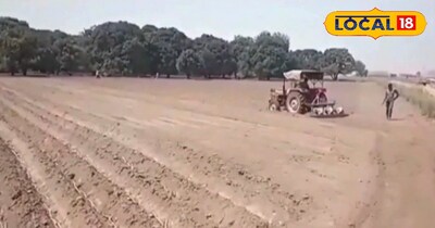 गेहूं के बाद अगली फसल देगी बंपर मुनाफा