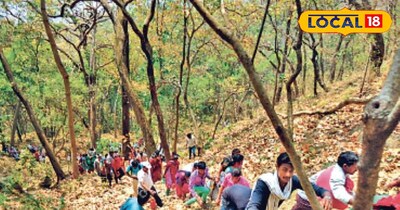 प्रतीकात्मक तस्वीर 
