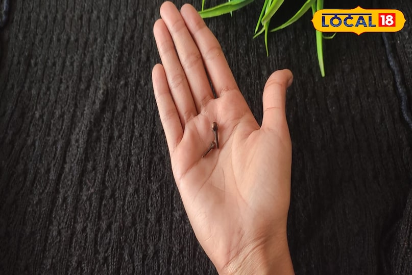 Curry Leaf Hair Toner