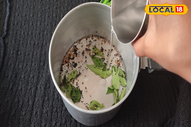 Curry Leaf Hair Toner 