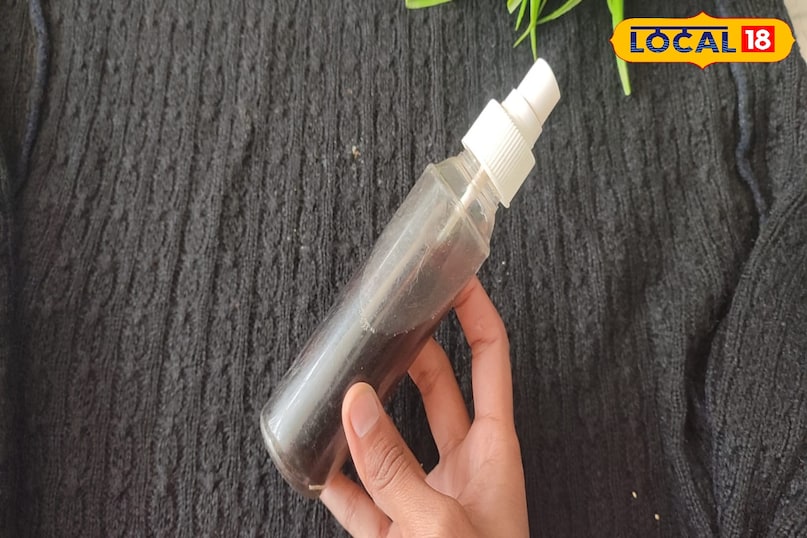 Curry Leaf Hair Toner 