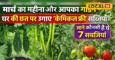 Best Vegetables to Grow in March in India: Organic Home Gardening Tips