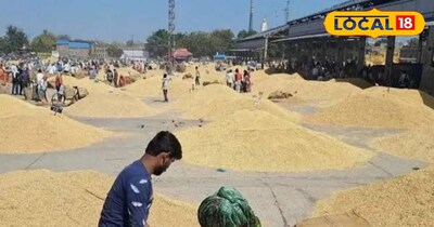 10 साल का इंतजार हुआ ख़त्म, कोटा की भामाशाह मंडी का होगा विस्तार...