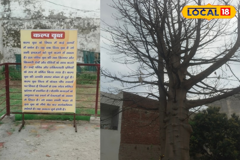 मेरठ, उत्तर प्रदेश, नवरात्र, श्रद्धालु, शास्त्री नगर, गोल मंदिर, मां आदिशक्ति, फोटो गैलरी, लोकल- 18,Meerut, Uttar Pradesh, Navratri, devotees, Shastri Nagar, Gol Mandir, Maa Adishakti, Photo Gallery, Local- 18