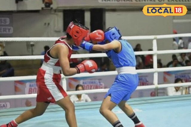 युवा बॉक्सर्स की किस्मत का इम्तिहान! भिड़ेंगे अलग-अलग कैटेगरी के खिलाड़ी