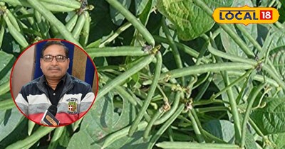 मूंग की खेती 