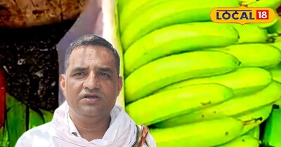 BSc पास किसान ने 3 लाख के लोन से बनाया 'सोने का पेड़', अब देश-विदेश में एक्सपोर्ट