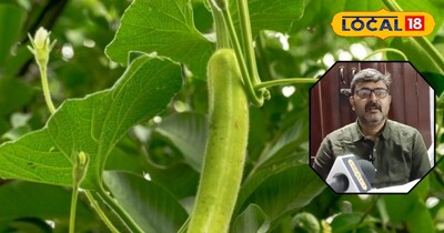 लौकी की खेती से बने मालामाल 