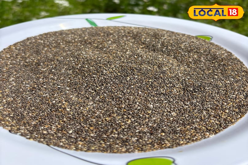 Keeps the body hydrated and active