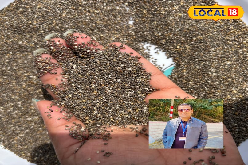 Helpful in increasing immunity 