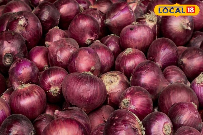 पाचन तंत्र 