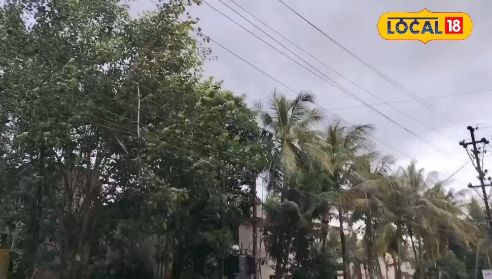 छत्तीसगढ़ में मौसम खेल रही खतरनाक खेल! कहीं ओले-बारिश तो कहीं आंधी, अगले 48 घंटे भारी