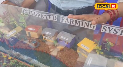 Agri Tips - 1 एकड़ से अधिक जमीन वाले किसान ध्यान दें, महीने की कमाई जा सकती है ल