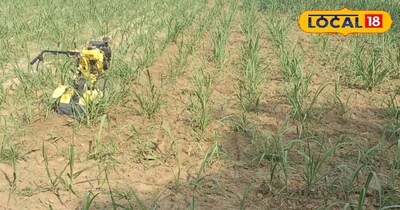 पावर वीडर।