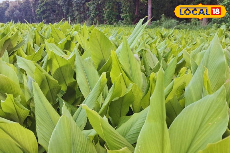 Moradabad news,hindi news,up news,local news, मुरादाबाद समाचार, हिंदी समाचार, यूपी समाचार, लोकल समाचार। Moradabad news,hindi news,up news,local news, मुरादाबाद समाचार, हिंदी समाचार, यूपी समाचार, लोकल समाचार।