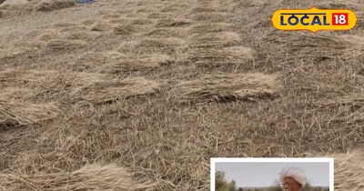 सांचौर में बेमौसम बारिश ने फसलों को चौपट कर दिया,किसान संकट में...