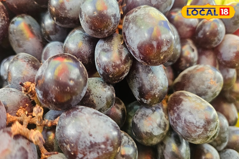 green grapes Vs black grapes green grapes Vs black grapes