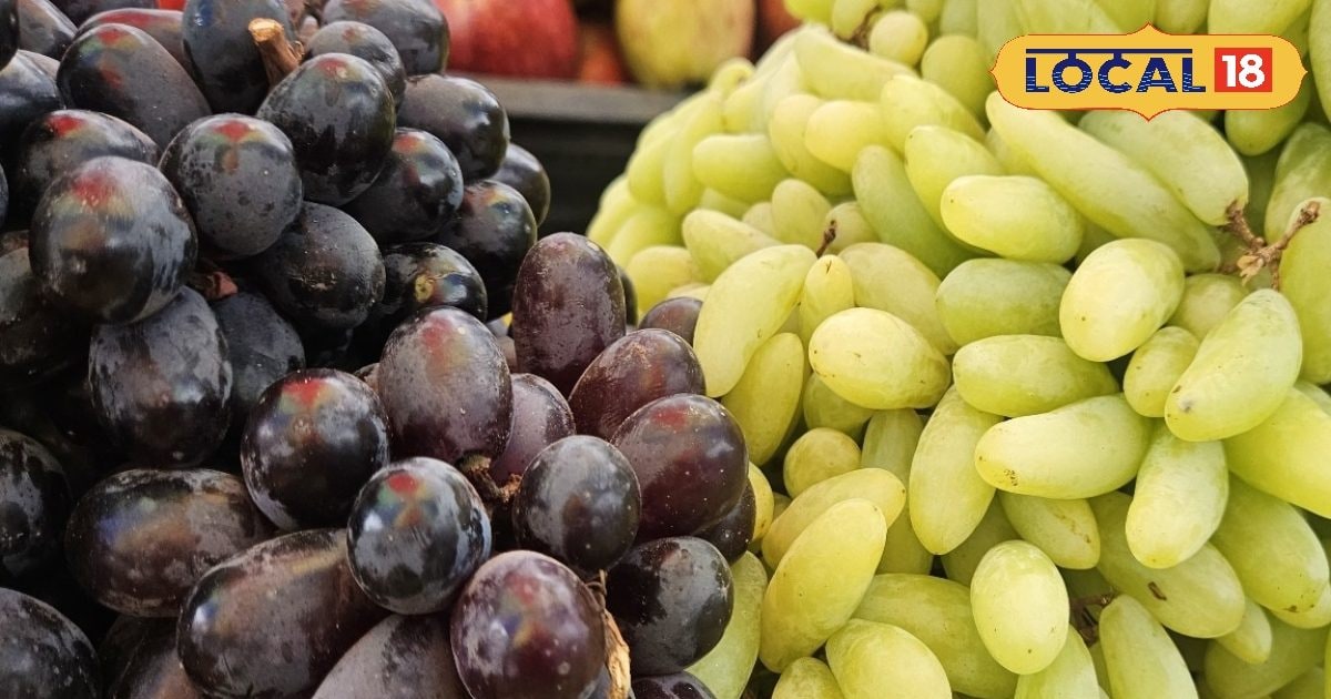हरे या फिर काले अंगूर: मिठास में कौन आगे और सेहत में कौन निकला नंबर वन
