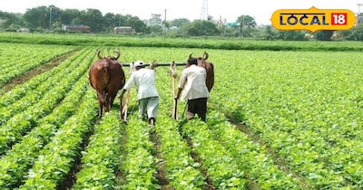 भीलवाड़ा किसान कर्ज बीमा योजना 2026