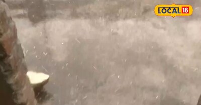 तेज आंधी, बारिश और ओलावृष्टि से गौरौल में तबाही, <br>