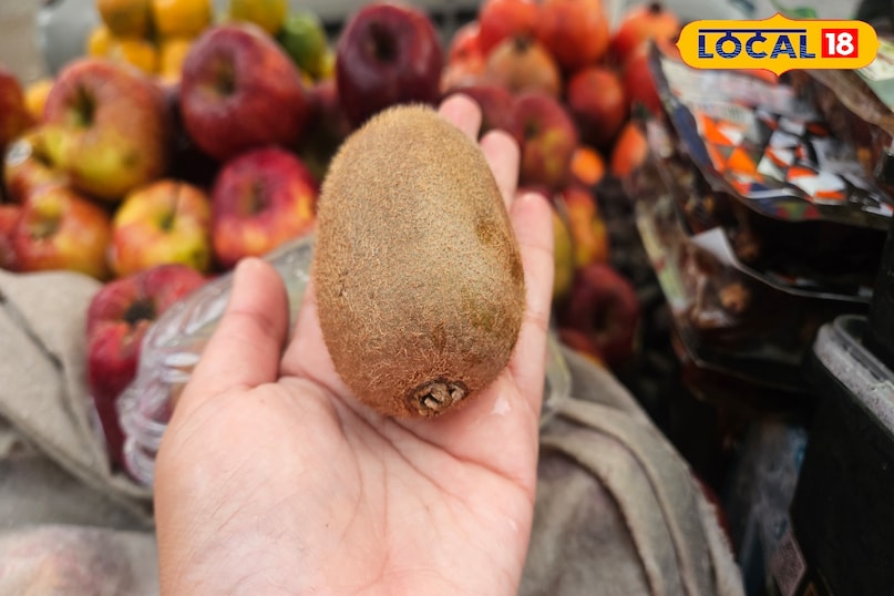 green Vs yellow kiwi green Vs yellow kiwi